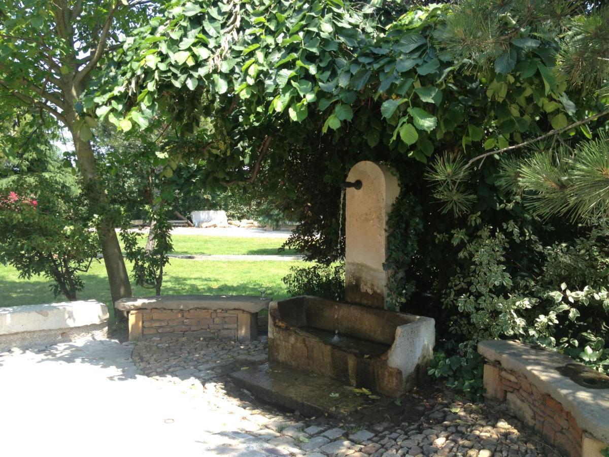 ホテル Domaine De La Ruisseliere Lacenas エクステリア 写真