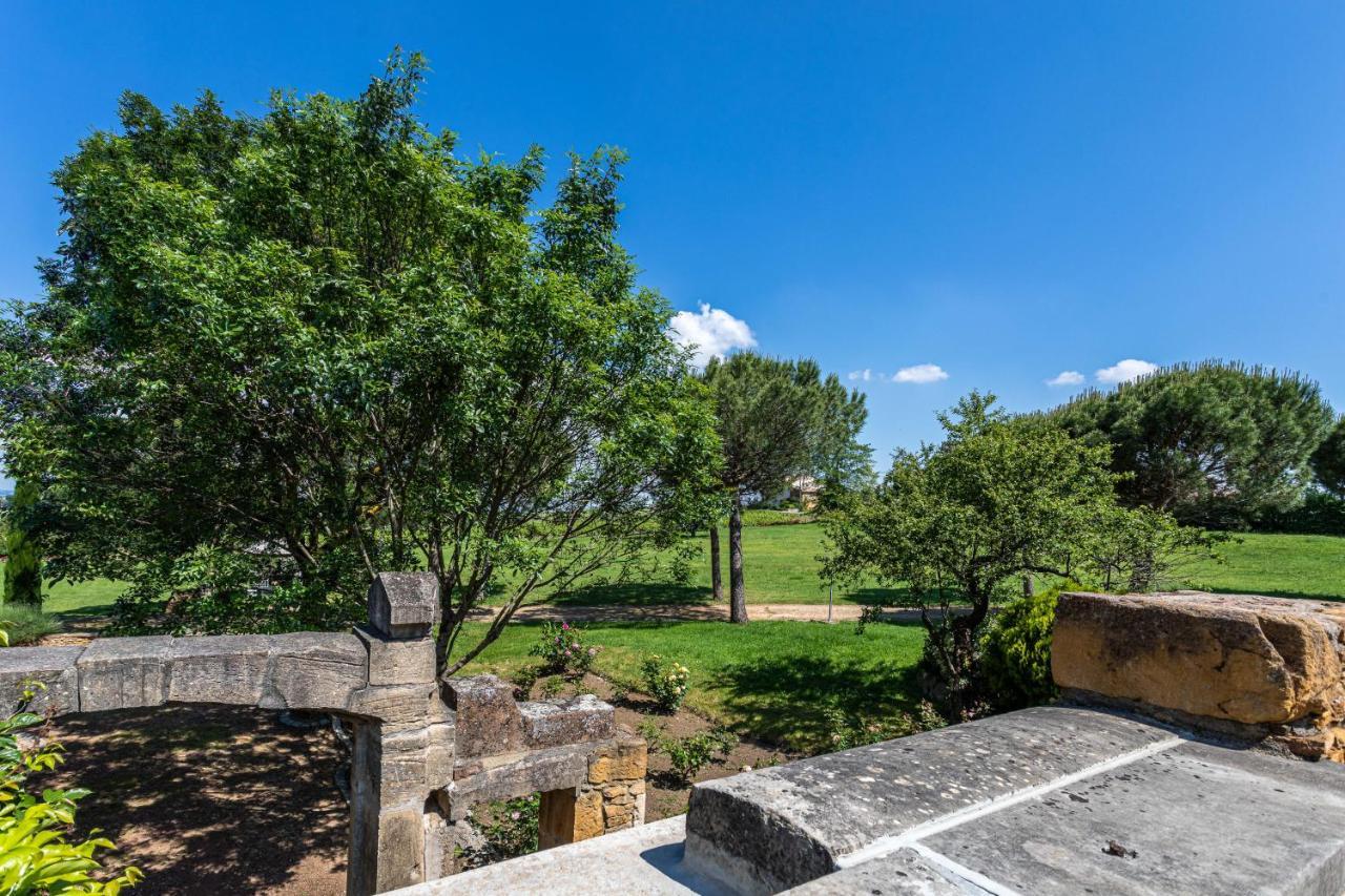 ホテル Domaine De La Ruisseliere Lacenas エクステリア 写真